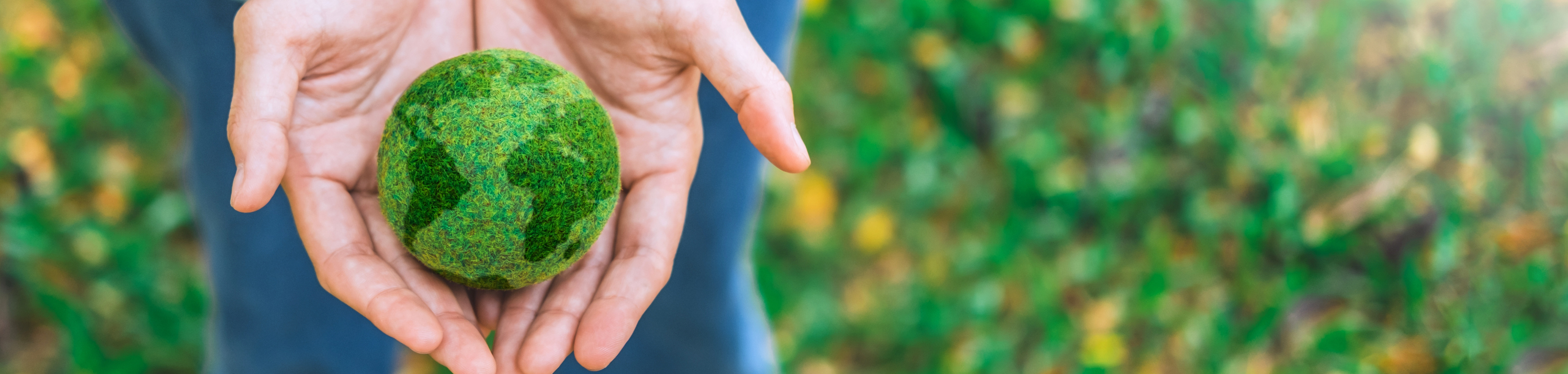 Someone holding a green sphere in their hands